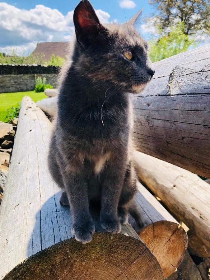 Selská chalupa Anetka Horšovský Týn Esterno foto